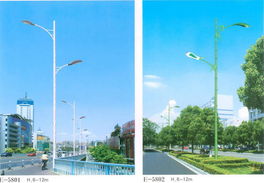 南京工程照明 盛景華成工程照明 路燈 34