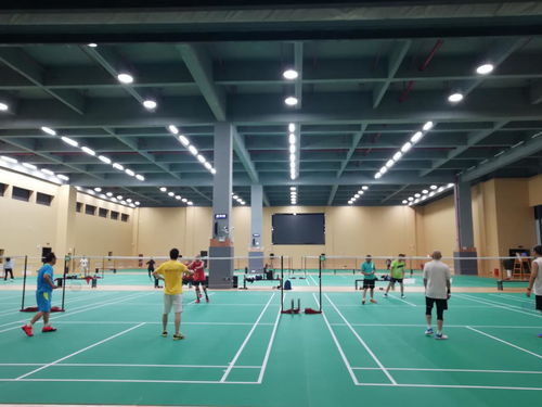 羽毛球照明設(shè)計標(biāo)準(zhǔn)和技術(shù)要求
